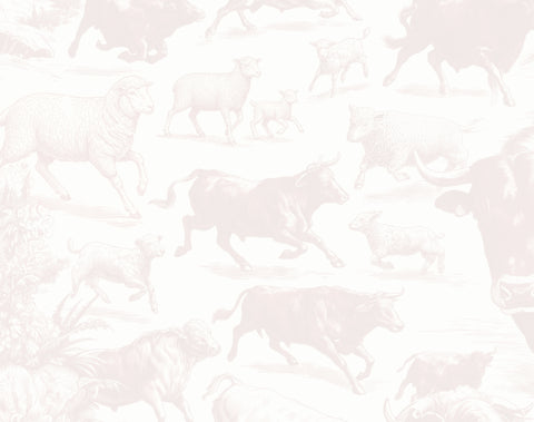 Toruna Kasap klasikleri ile tanışın